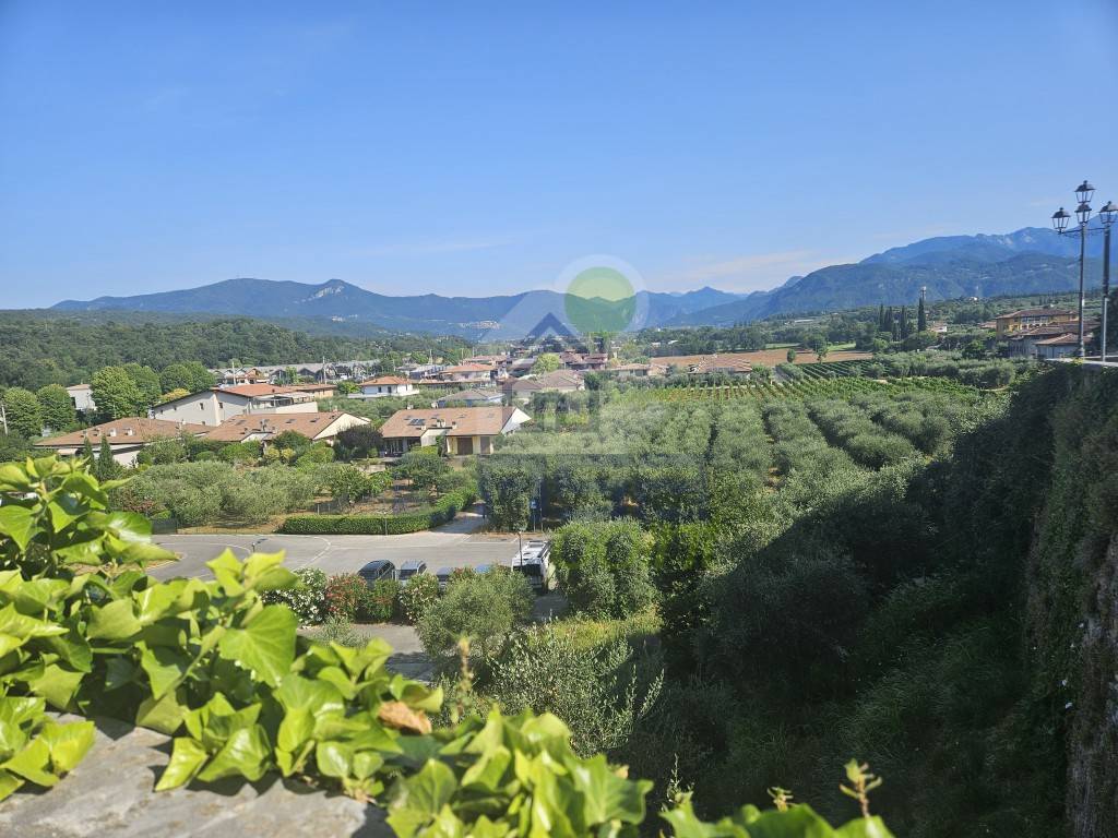 immagine annuncio 1 di 12