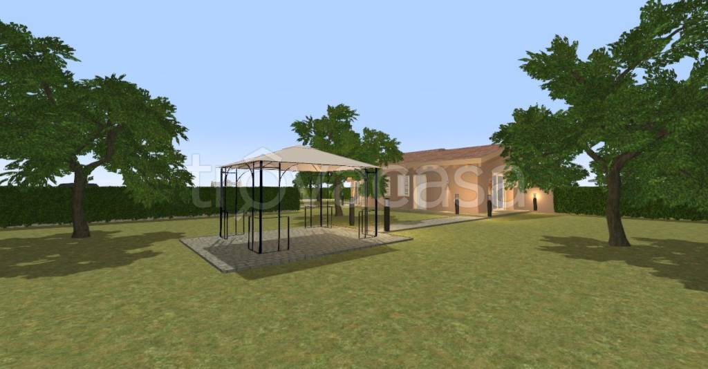 immagine annuncio 3 di 11