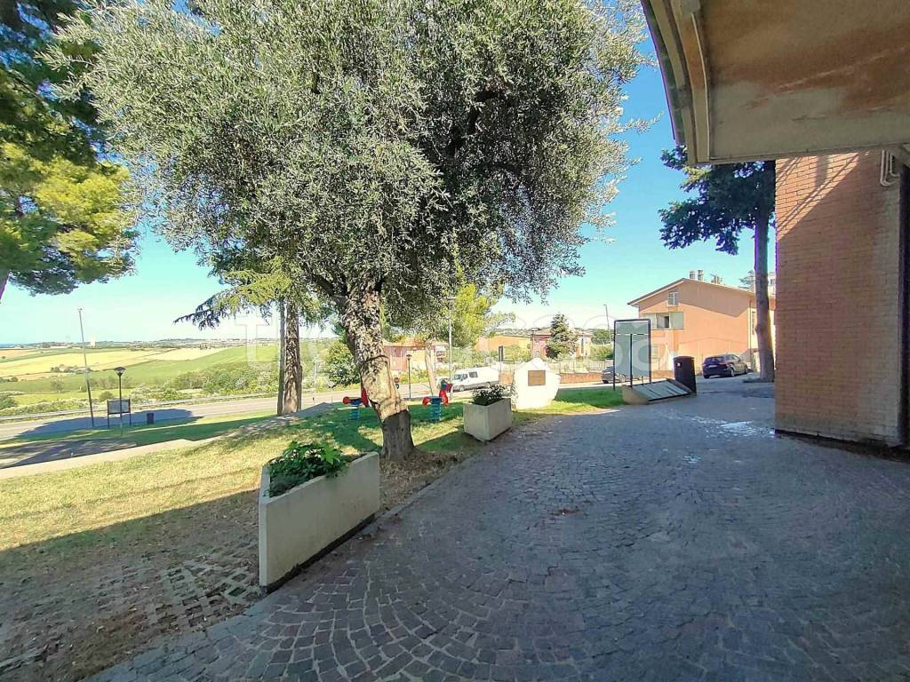 immagine annuncio 6 di 7