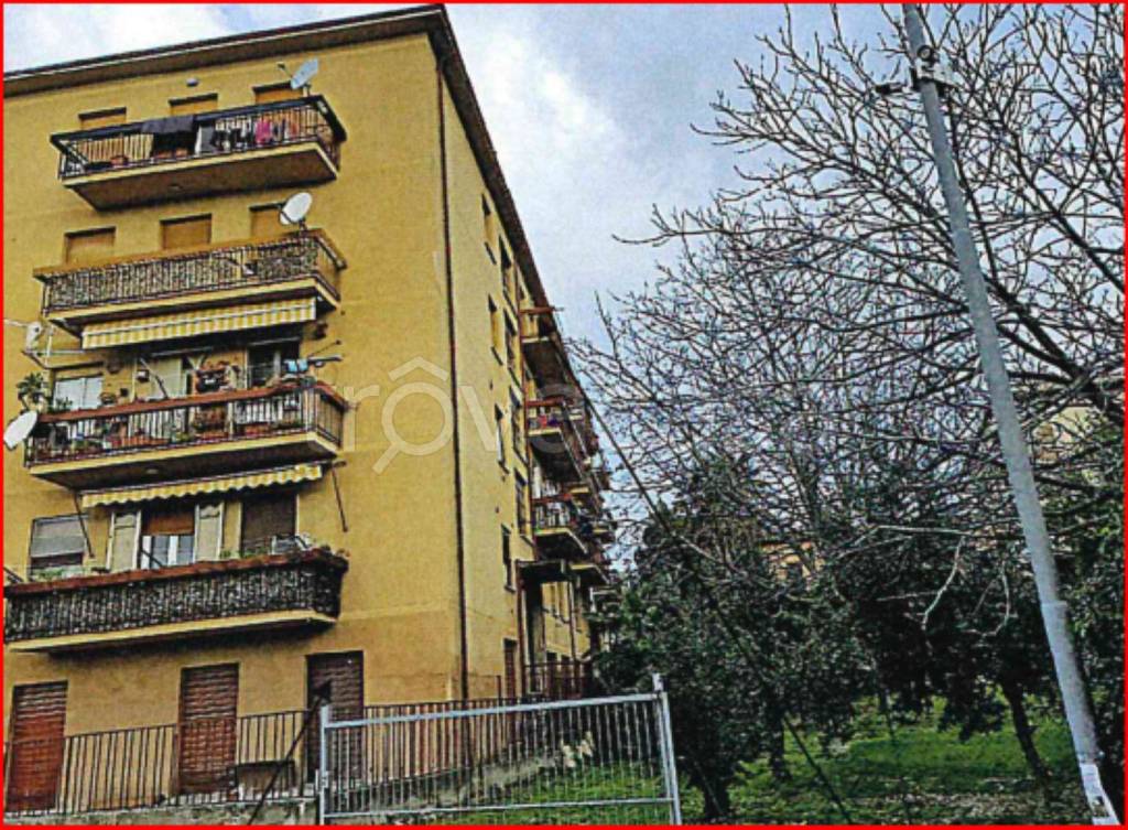 immagine annuncio 4 di 14