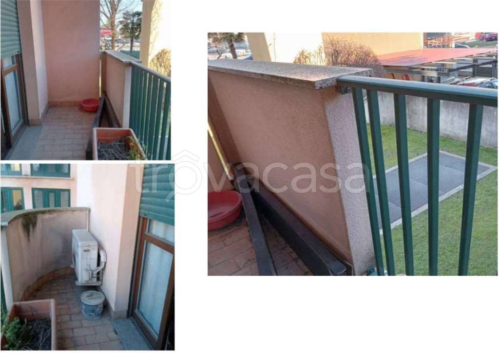 immagine annuncio 9 di 14