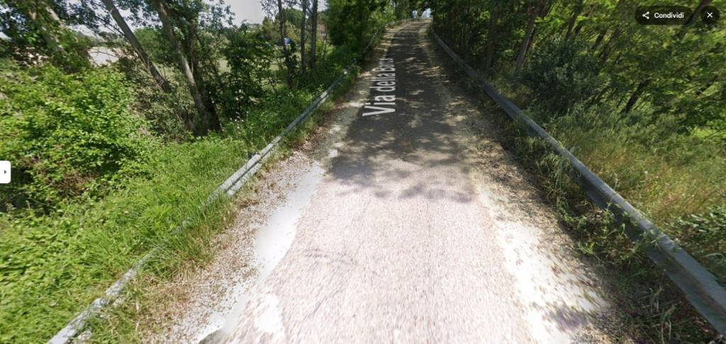 immagine annuncio 5 di 12