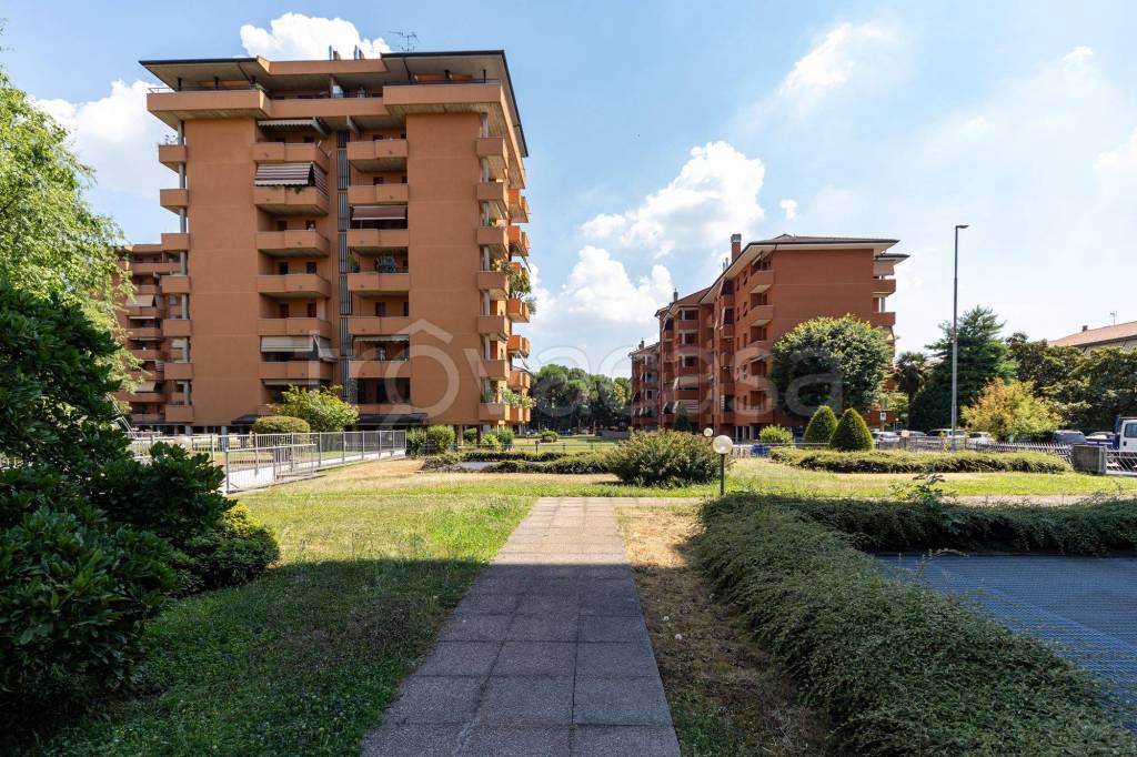 immagine annuncio 7 di 15