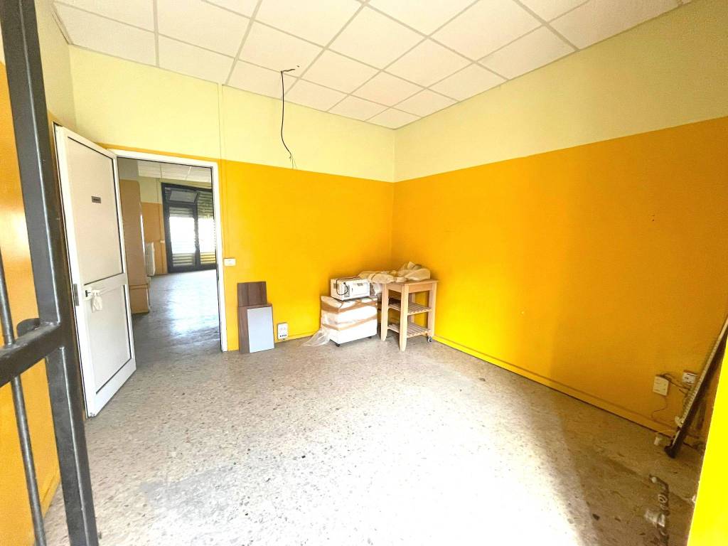 immagine annuncio 3 di 12