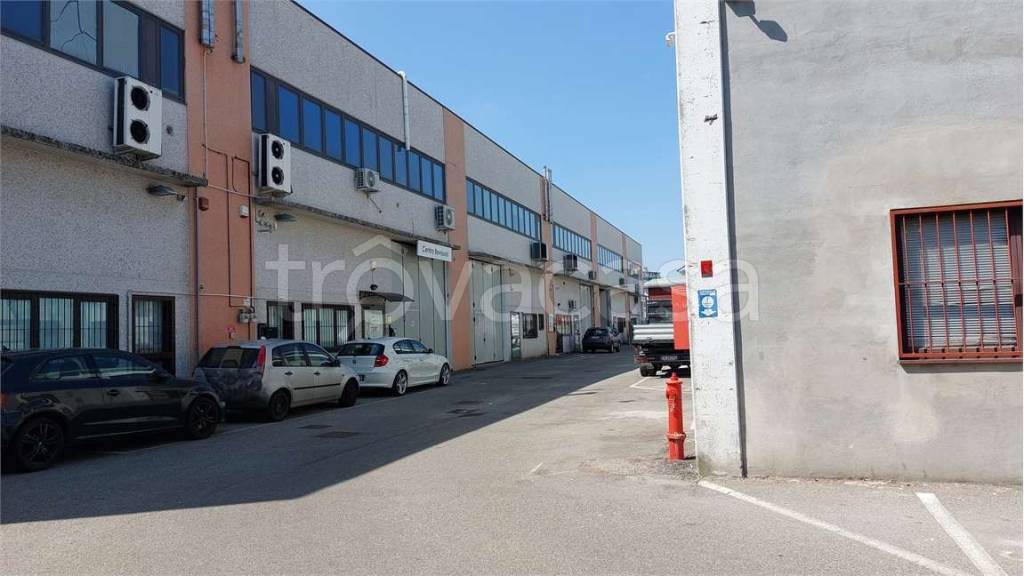 immagine annuncio 14 di 15