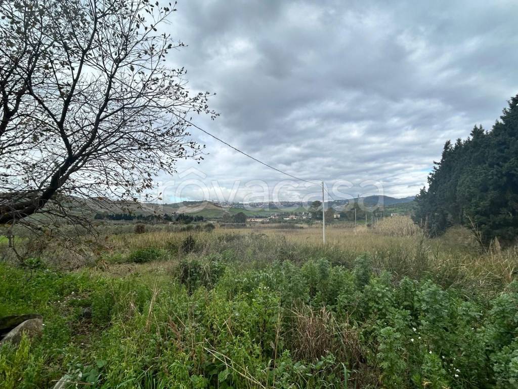 immagine annuncio 5 di 6