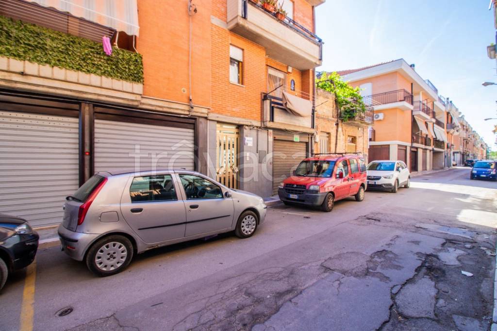 immagine annuncio 9 di 12