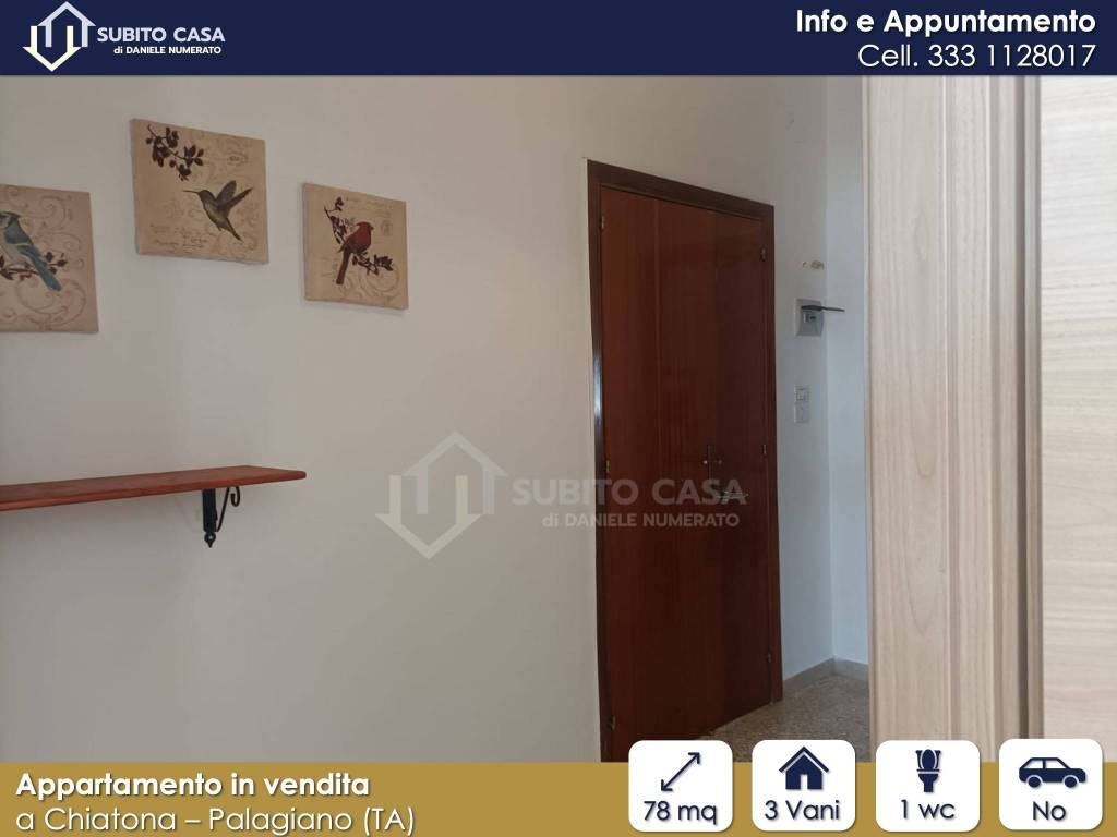 immagine annuncio 1 di 12