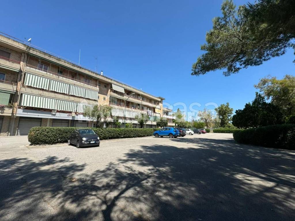 immagine annuncio 11 di 13