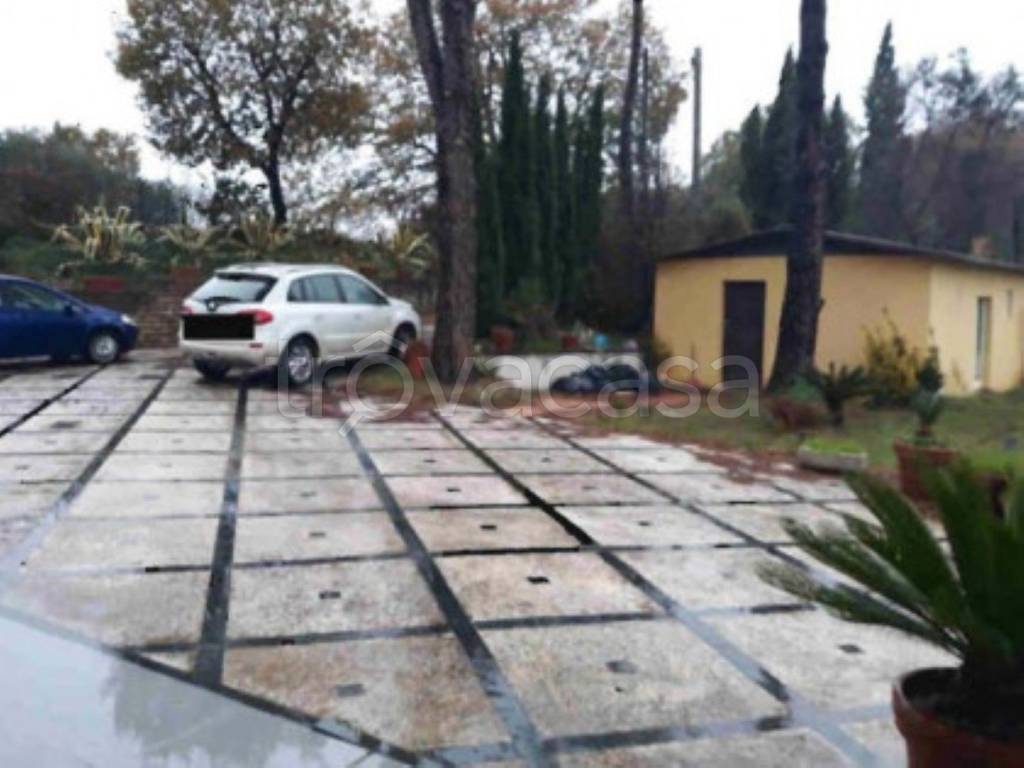 immagine annuncio 2 di 13