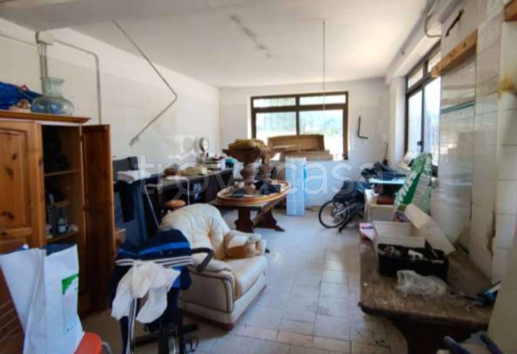 immagine annuncio 10 di 11