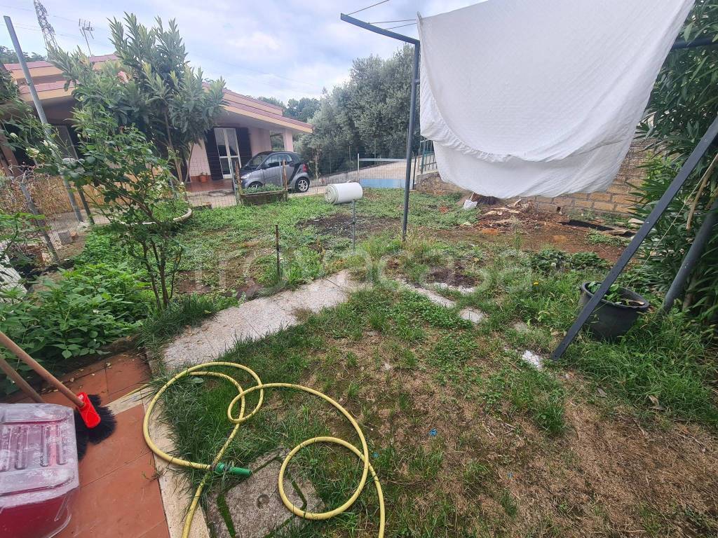 immagine annuncio 6 di 13
