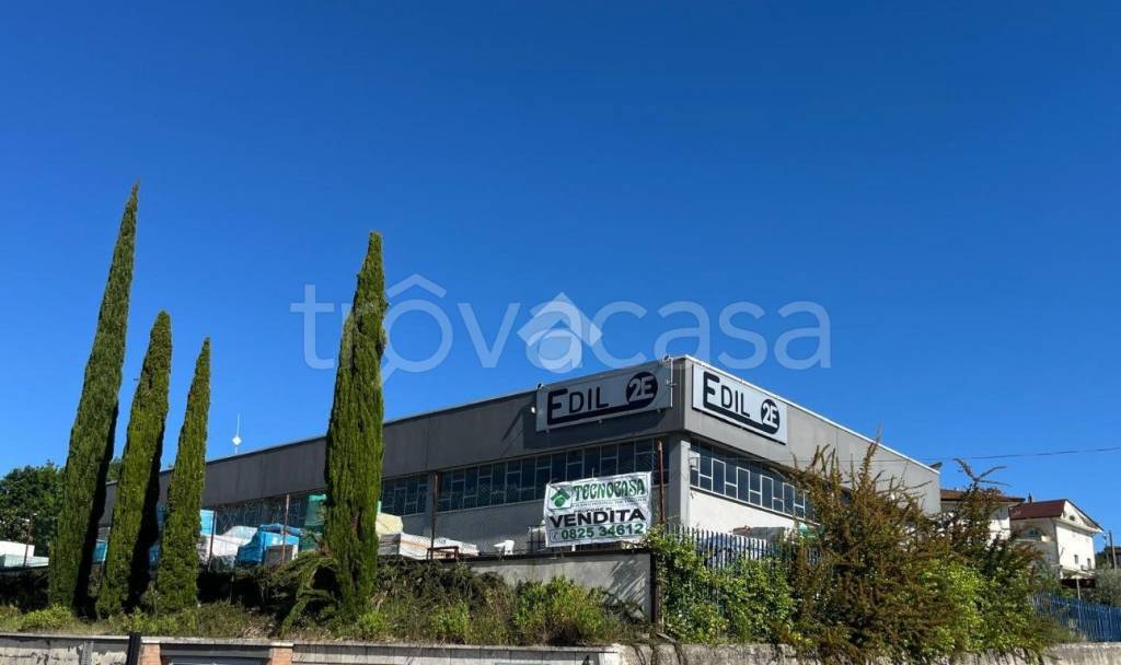 immagine annuncio 10 di 13