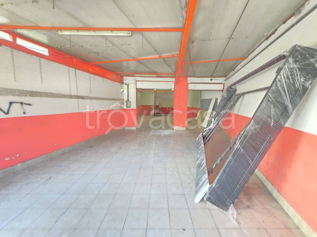 immagine annuncio 2 di 12