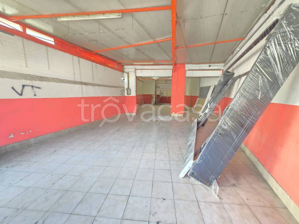 immagine annuncio 3 di 12