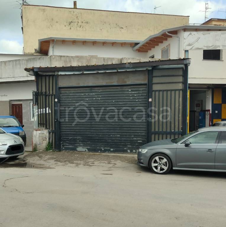 immagine annuncio 10 di 12