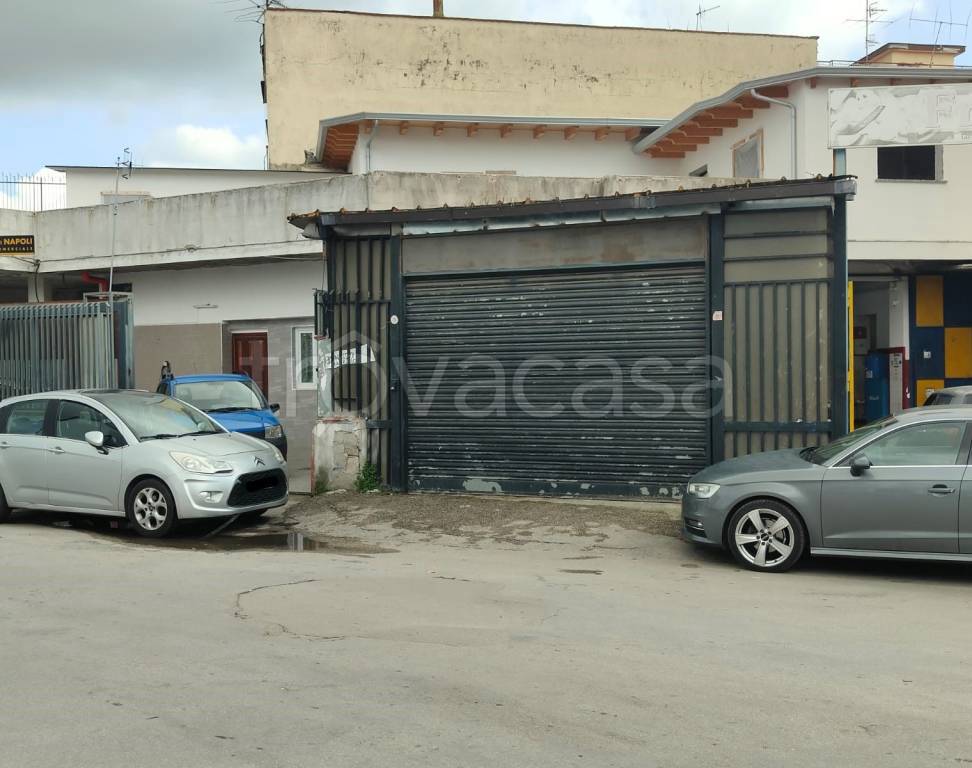 immagine annuncio 11 di 12