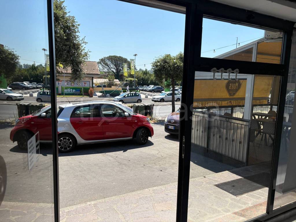 immagine annuncio 4 di 14