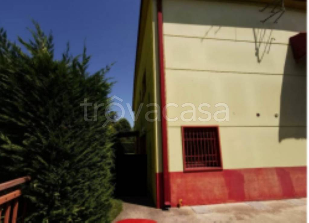 immagine annuncio 6 di 11