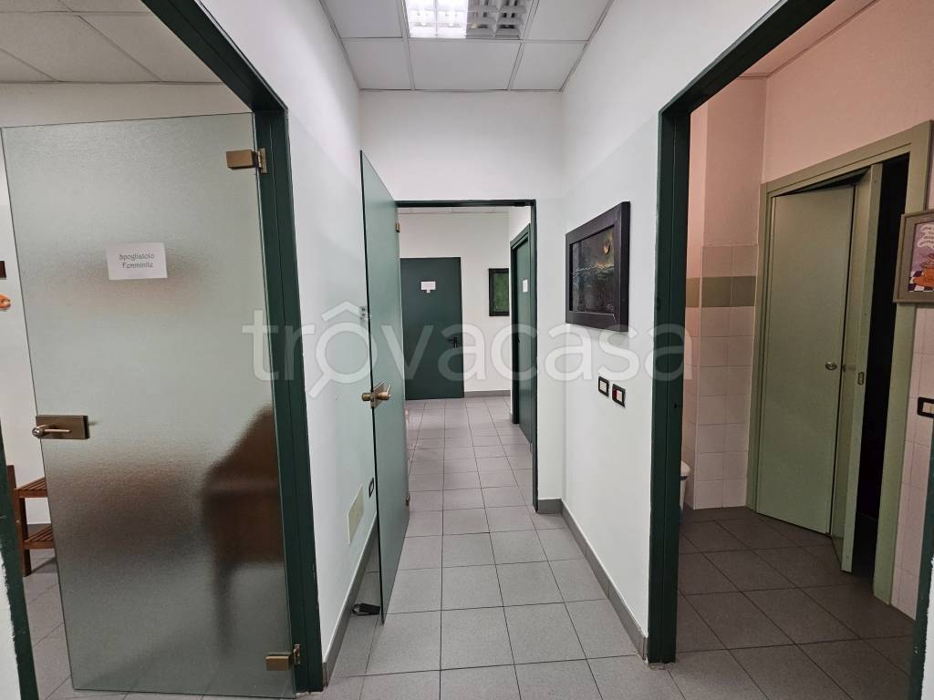 immagine annuncio 9 di 11
