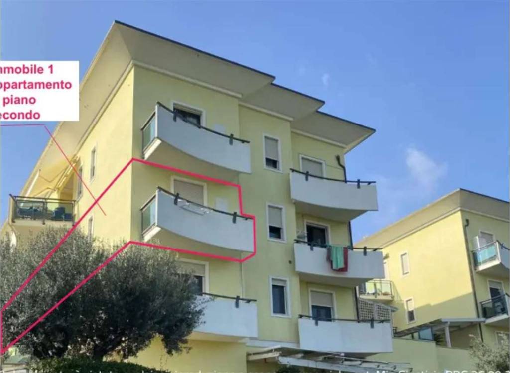 immagine annuncio 3 di 15