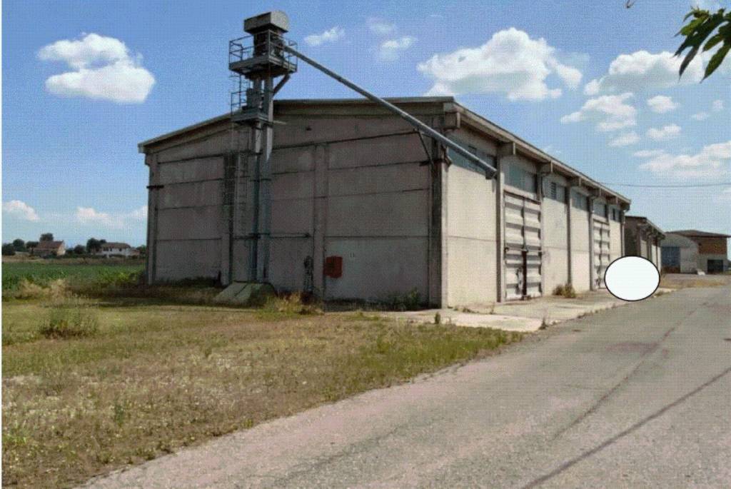 immagine annuncio 1 di 12