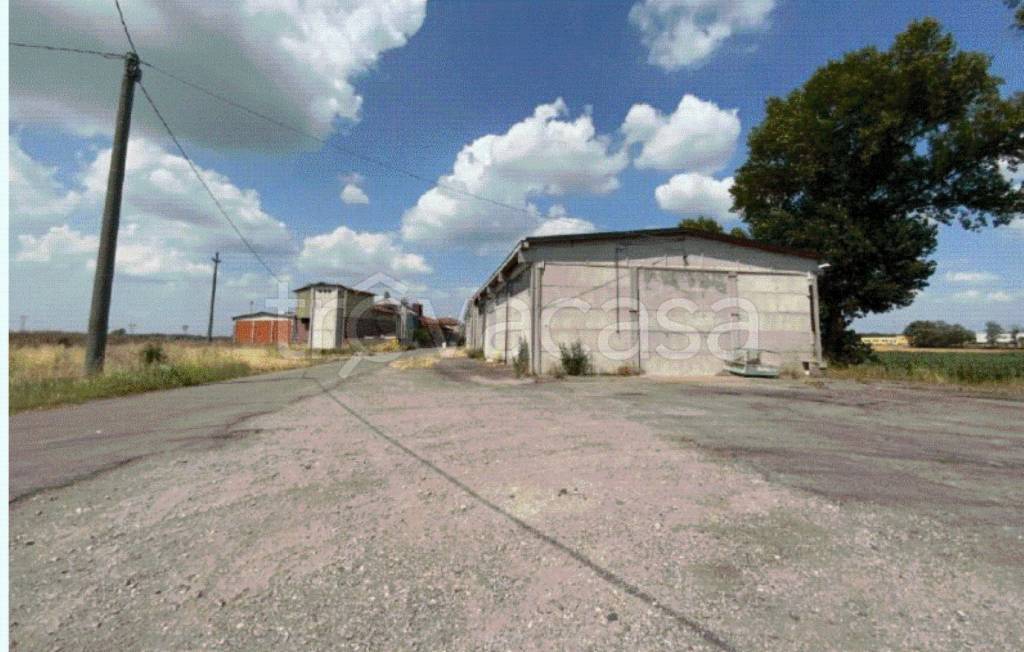 immagine annuncio 3 di 12