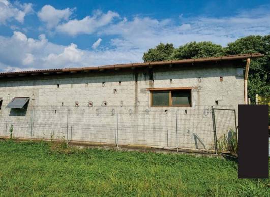 immagine annuncio 4 di 8