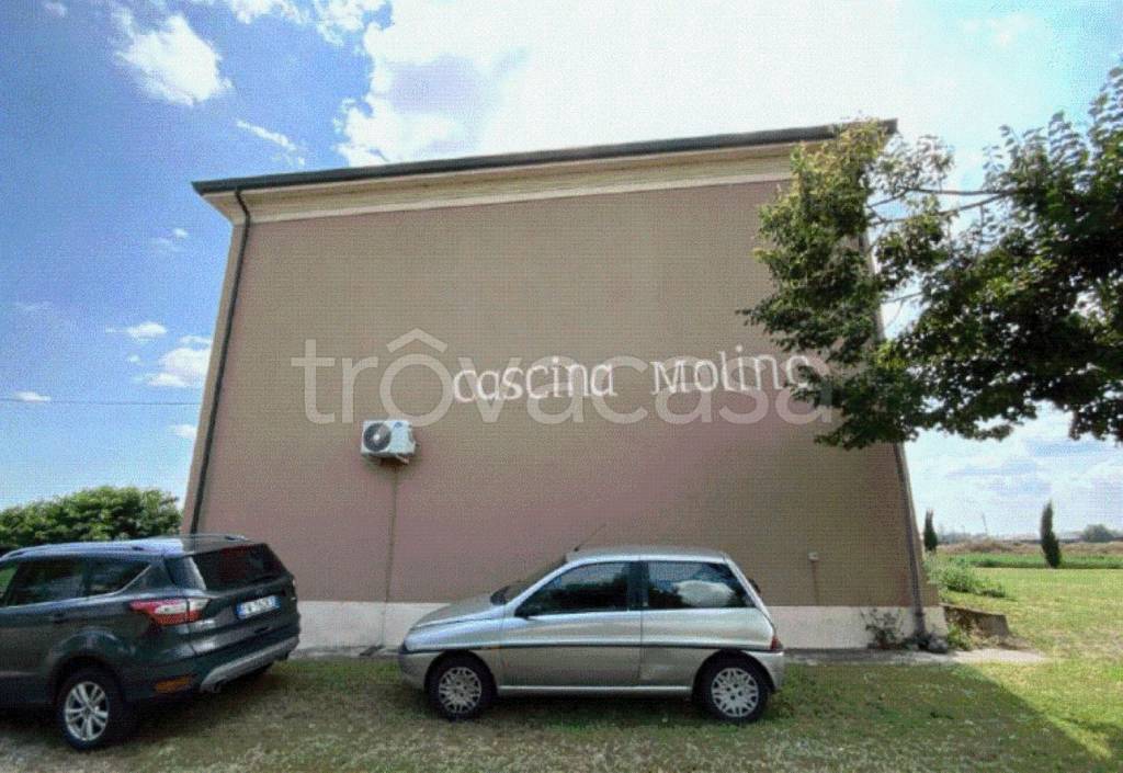 immagine annuncio 9 di 12