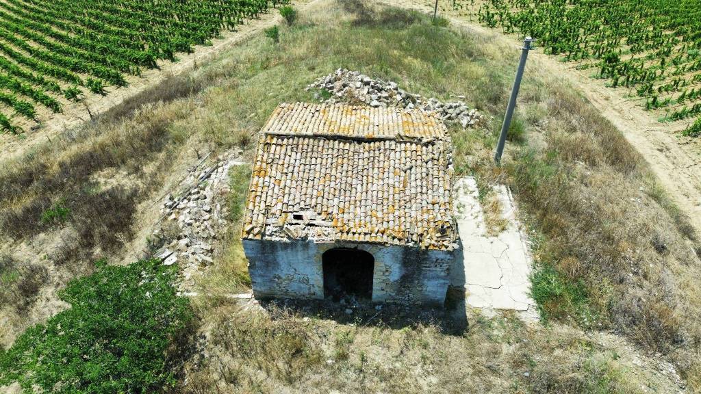 immagine annuncio 6 di 12