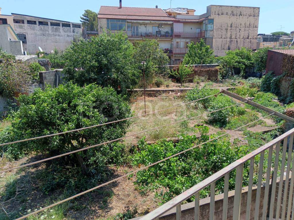 immagine annuncio 3 di 14