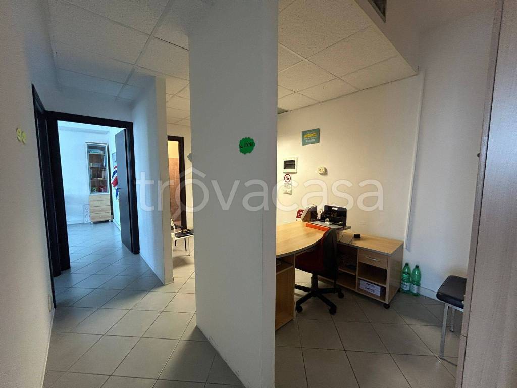 immagine annuncio 3 di 14