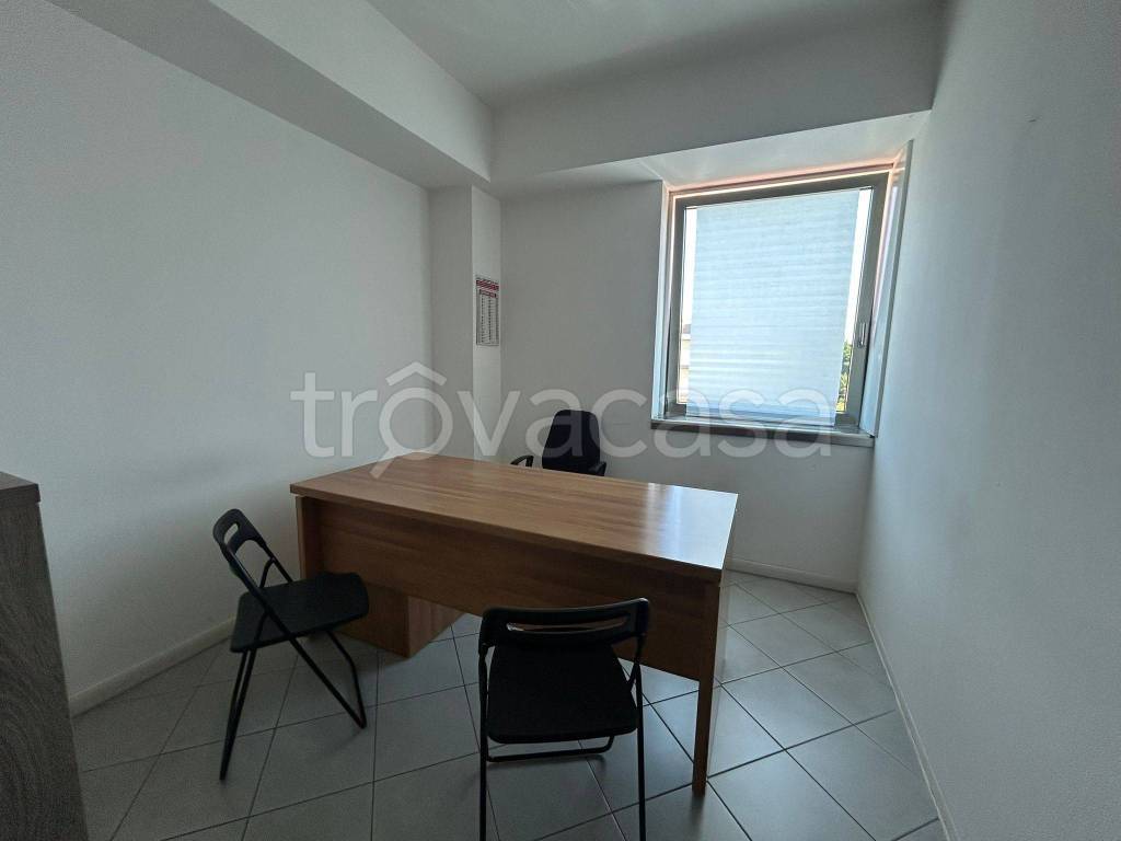 immagine annuncio 9 di 14