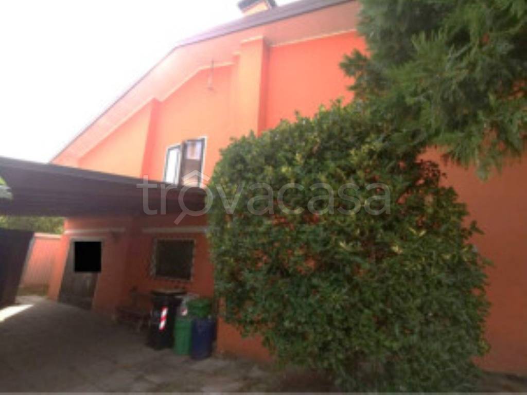 immagine annuncio 2 di 12