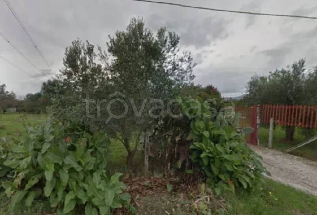 immagine annuncio 9 di 14