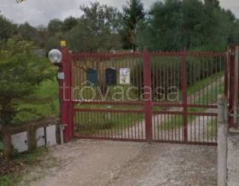 immagine annuncio 13 di 14