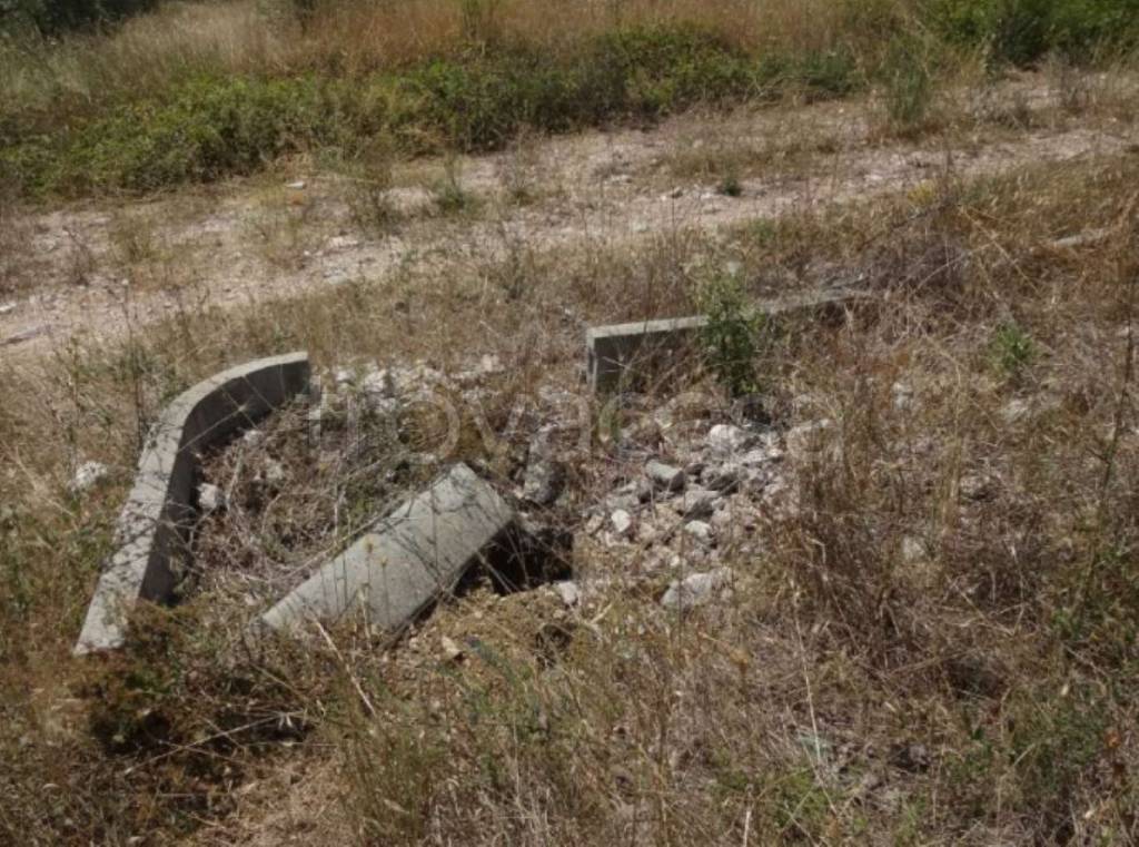 immagine annuncio 5 di 11