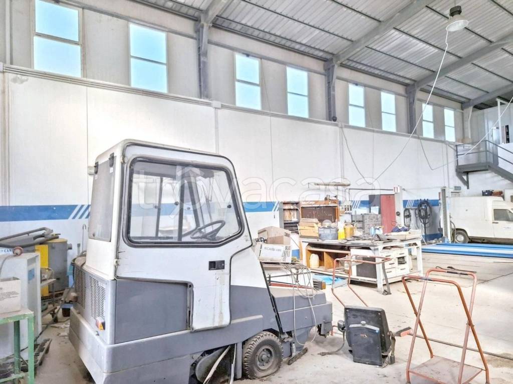 immagine annuncio 9 di 15