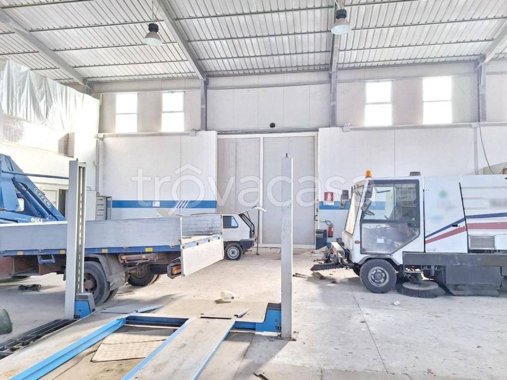 immagine annuncio 11 di 15