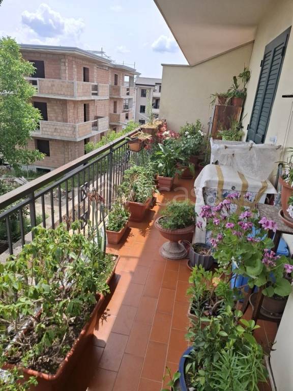 immagine annuncio 7 di 12