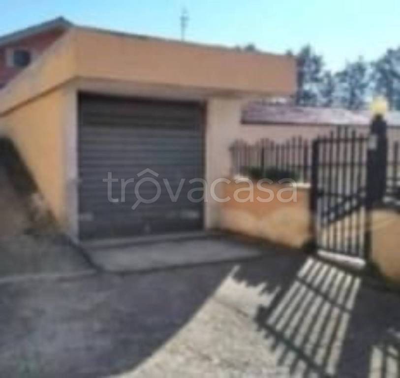 immagine annuncio 9 di 12