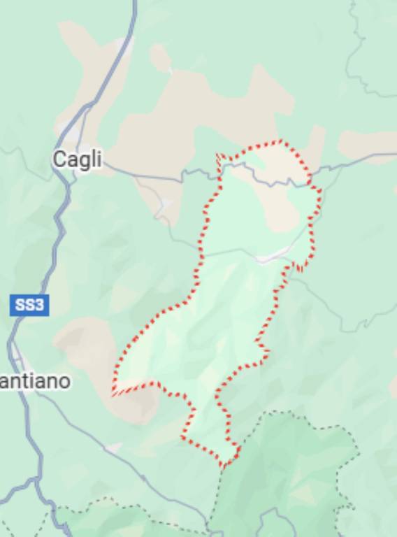 immagine annuncio 9 di 12