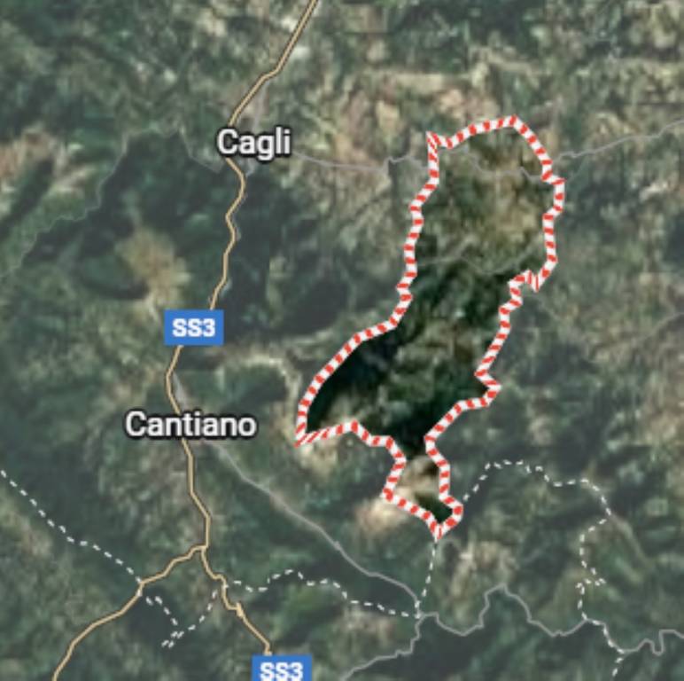 immagine annuncio 10 di 12