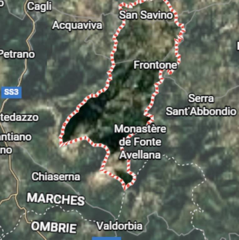 immagine annuncio 11 di 12