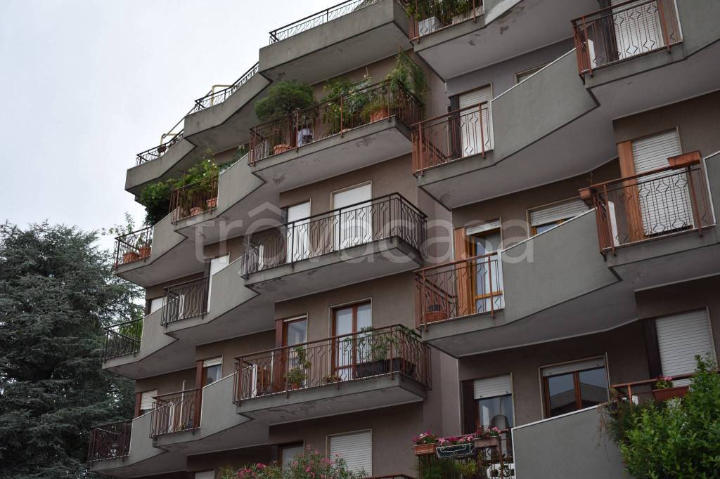 immagine annuncio 3 di 4