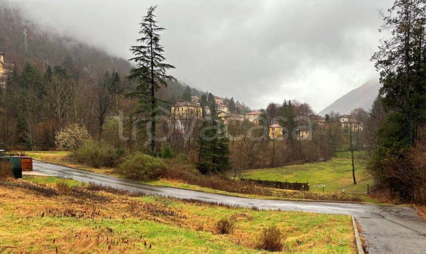 immagine annuncio 5 di 11
