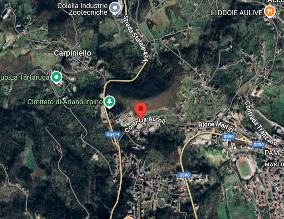 immagine annuncio 3 di 11