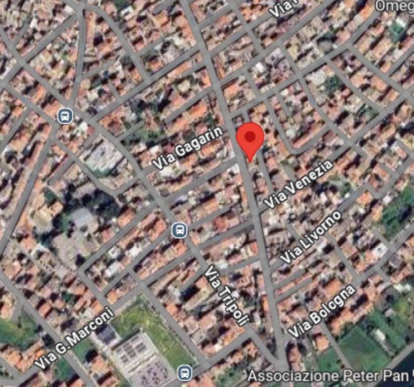 immagine annuncio 11 di 14