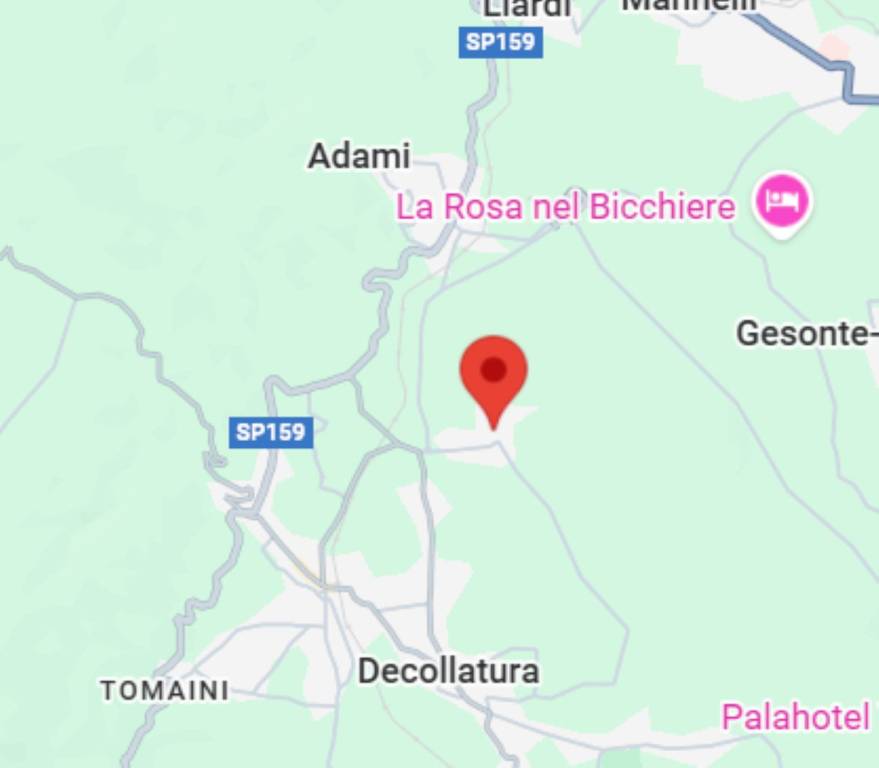 immagine annuncio 3 di 11