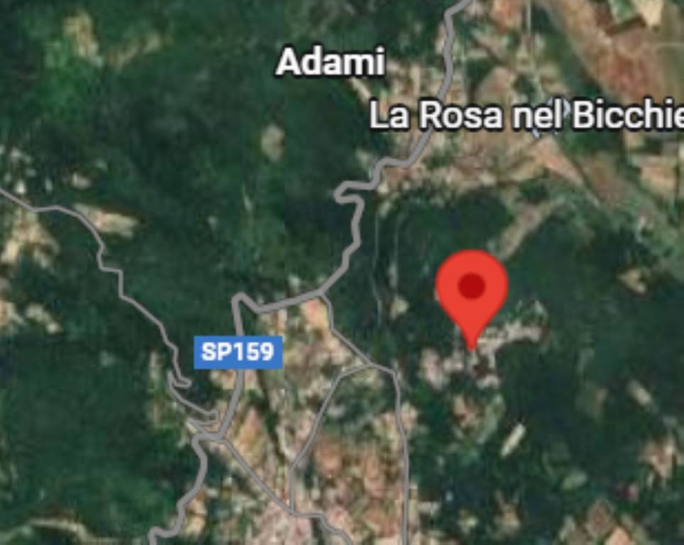 immagine annuncio 4 di 11